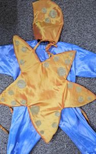Kids Costumes to Hire - Star Fish 